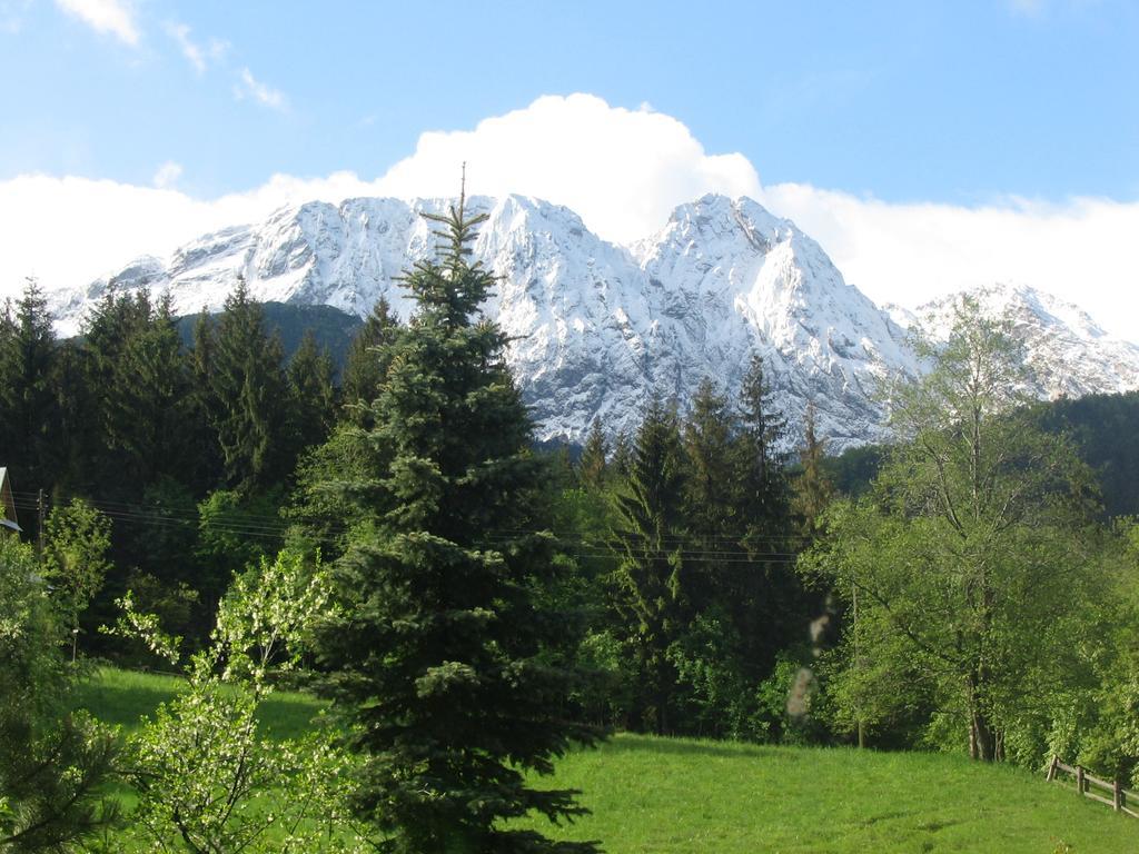Villa Tatrydom Zakopane Eksteriør billede